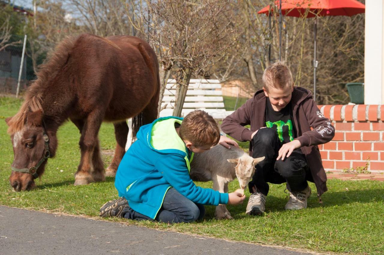 Arkadenhof Flasch Farm stay Worterberg